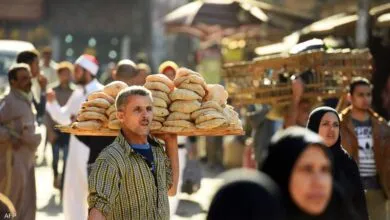 منظومة الدعم في مصر: تحسين الكفاءة وترشيد الاستهلاك لتحقيق الاستدامة