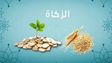 هل يجوز اخراج زكاة المال طعام ..تفصیل شامل