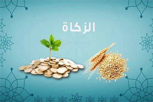 هل يجوز اخراج زكاة المال طعام ..تفصیل شامل