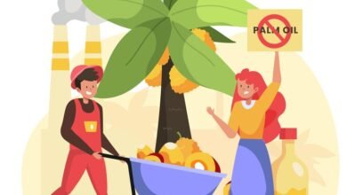 palm oil producing industry concept 23 2148788114