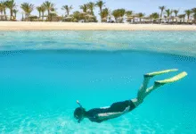 سعر طيران مرسى علم… ما الذي يجب أن تعرفه قبل الحجز؟