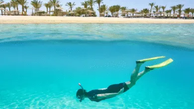 سعر طيران مرسى علم… ما الذي يجب أن تعرفه قبل الحجز؟