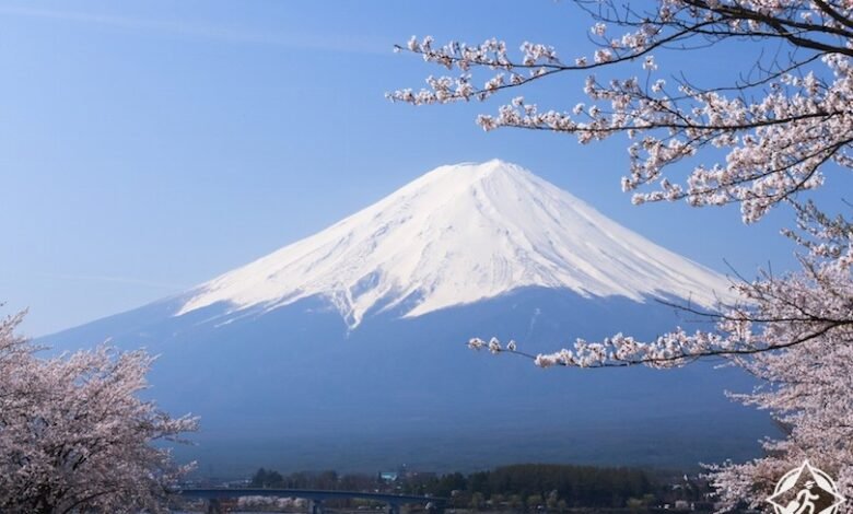 D8ACD8A8D984 D981D988D8ACD98A