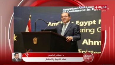 أستاذ تمويل: لا يوجد زيادات ضريبية مقبلة والحكومة تتجه لتيسير الإجراءات على المستثمرين