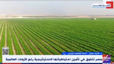 أستاذ زراعة لـ"إكسترا نيوز": الدولة تقوم بجهود لتحقيق الأمن الغذائى