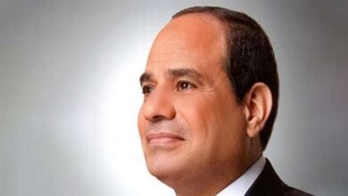 السيسي يؤكد تضامن مصر ودعمها الكامل لأمن واستقرار جزر القمر