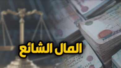القضاء يتصدى لإشكاليات عقود الإيجار الصادرة من الشريك على الشيوع.. برلماني