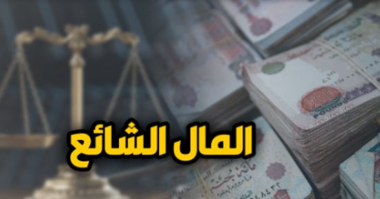 القضاء يتصدى لإشكاليات عقود الإيجار الصادرة من الشريك على الشيوع.. برلماني القضاء يتصدى لإشكاليات عقود الإيجار الصادرة من الشريك على الشيوع.. برلماني