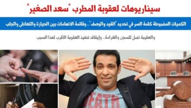 القيد والوصف كلمة السر.. 3 سيناريوهات لعقوبة سعد الصغير.. عن برلمانى