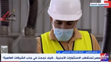 خبير: الدولة أنشأت مدنا صناعية وبنية تحتية لجذب الاستثمارات الأجنبية