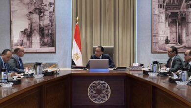 رئيس هيئة الرقابة المالية: تأسيس أول اتحاد مصرى للأوراق المالية قريبا