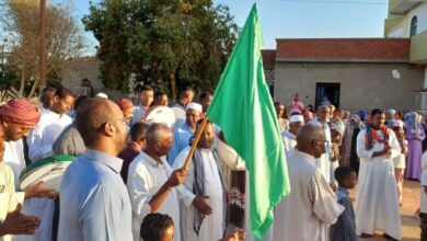 شاهد زفة المولد تجوب شوارع النوبة بجزيرة تنقار فى أسوان.. صور