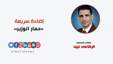 إضاءة سريعة | الرفاعي عيد يكتب: «حمار الوزير»
