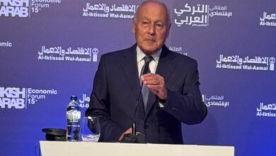 أبو الغيط يدعو إلى تعزيز التعاون العربى التركى ليتجاوز التجارة نحو آفاق أرحب