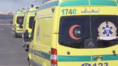 إصابة 12 شخصا فى حادث تصادم بالطريق الإقليمى بالشرقية