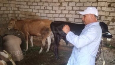 جامعة جنوب الوادي تنظم قافلة بيطرية وزراعية بقرية دندرة بقنا