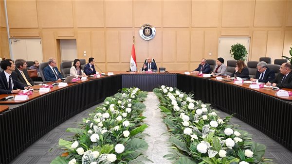 وزير الصناعة يبحث مع 4 شركات أوروبية خطة توطين صناعة المحللات الكهربائية بمصر وزير الصناعة يبحث مع 4 شركات أوروبية خطة توطين صناعة المحللات الكهربائية بمصر