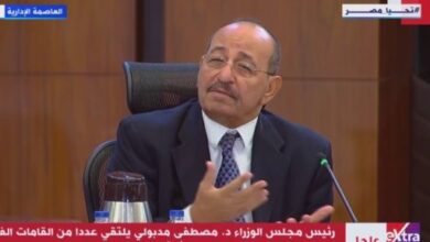‌‏جمال عبد الجواد: مبدأ نأى مصر عن التورط فى الصراعات شديد الأهمية