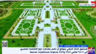 أستاذ اقتصاد: مصر المناخ الأرحب والأنسب لجذب الاستثمارات