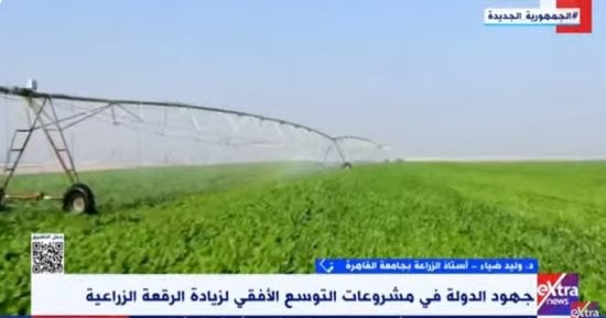 خبير: الممارسات الزراعية الجيدة تمكن الدولة من سد الفجوة الغذائية خبير: الممارسات الزراعية الجيدة تمكن الدولة من سد الفجوة الغذائية
