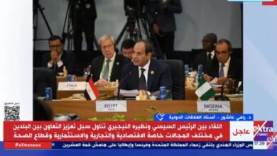 رامى عاشور: موقف مصر السياسى مبنى على ركائز أممية
