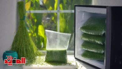 طريقة تخزين الملوخية الخضراء بالفريزر