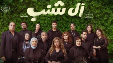 فيلم "آل شنب" يقترب من مليون جنيه إيرادات بالسينمات المختلفة بعد يومين عرض