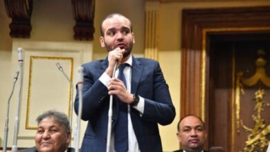 نائب: توجهات الدولة فى توطين الصناعة يعزز مكانتها كمركز إقليمى للتصدير