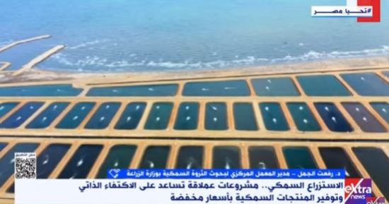 التليفزيون هذا المساء.. رفعت الجمل: أنتجنا 500 ألف طن زيادة من الأسماك التليفزيون هذا المساء.. رفعت الجمل: أنتجنا 500 ألف طن زيادة من الأسماك