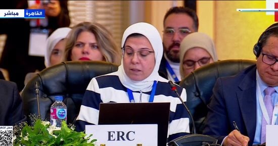 الهلال الأحمر المصرى: 50 ألف عامل متطوع يعملون لضمان وصول مساعدات لقطاع غزة الهلال الأحمر المصرى: 50 ألف عامل متطوع يعملون لضمان وصول مساعدات لقطاع غزة