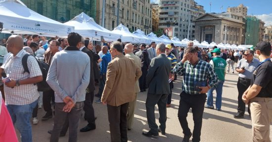 انطلاق سوق اليوم الواحد للمزارعين من العجمى غرب الإسكندرية اليوم انطلاق سوق اليوم الواحد للمزارعين من العجمى غرب الإسكندرية اليوم