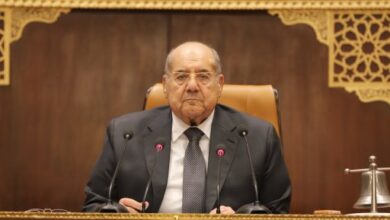 رئيس الشيوخ: قانون التصرف فى أملاك الدولة يتعامل مع الواقع بمصداقية شديدة