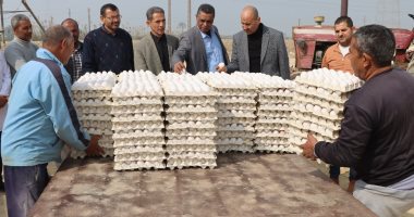 السكرتير العام المساعد لبنى سويف يتفقد مشروعات الدواجن المركزية شرق النيل السكرتير العام المساعد لبنى سويف يتفقد مشروعات الدواجن المركزية شرق النيل