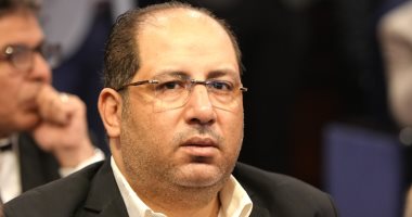 برلمانى: الدولة المصرية نجحت فى وضع القضية الفلسطينية على الأجندة الدولية برلمانى: الدولة المصرية نجحت فى وضع القضية الفلسطينية على الأجندة الدولية