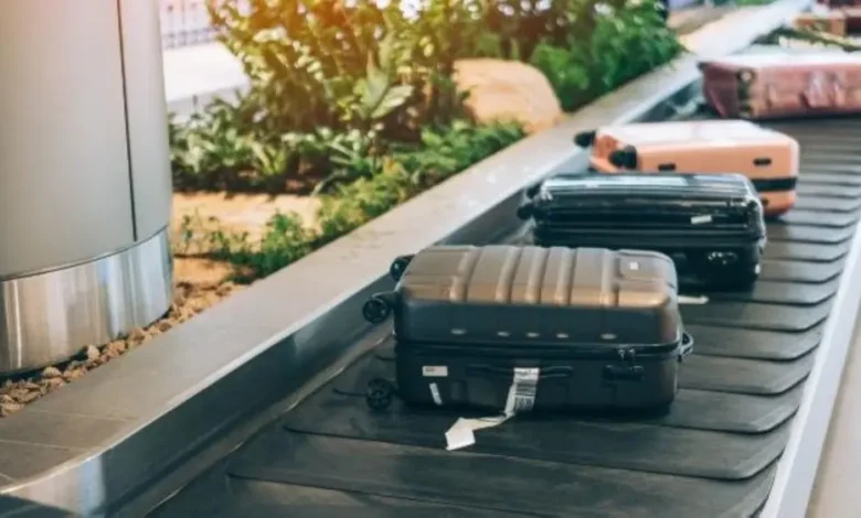 أفضل نصائح لرحلة سفر آمنة