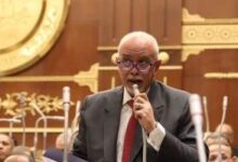 النائب حازم الجندي: موقف مصر من دعم فلسطين ثابت لا يتغير