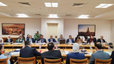 انعقاد اللجنة الدائمة لمتابعة العلاقات المصرية الإفريقية