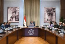 رئيس الوزراء يتابع إجراءات ترشيد استهلاك الكهرباء في الحي الحكومي بالعاصمة الإدارية الجديدة