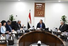 مدبولي يستعرض نتائج التعاون بين جامعة أكسفورد ومستشفى 500500 لتطوير العلاج الجيني للسرطان