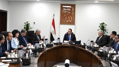 مدبولي يستعرض نتائج التعاون بين جامعة أكسفورد ومستشفى 500500 لتطوير العلاج الجيني للسرطان