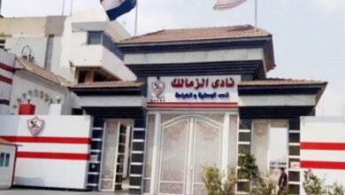 مصطفى نجم: الزمالك على الطريق الصحيح