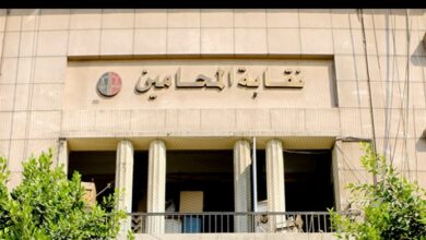 أزمة زيادة الرسوم القضائية.. عضو بمجلس المحامين يستعرض أسباب إرجاء الإضراب