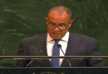 وزير الخارجية: مصر تدرب مئات الفلسطينيين لتولي مهام الأمن في غزة بعد الحرب