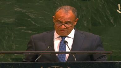 وزير الخارجية: مصر تدرب مئات الفلسطينيين لتولي مهام الأمن في غزة بعد الحرب