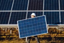 17871593318920202503201156525652