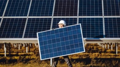 17871593318920202503201156525652