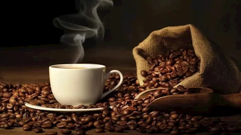 أغلى فنجان في العالم.. قهوة من روث الفيلة بسعر خيالي أغلى فنجان في العالم.. قهوة من روث الفيلة بسعر خيالي