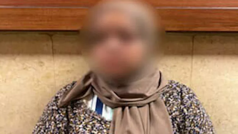 “أوهمت زوجها بالإنجاب”.. حبس سيدة 4 أيام بتهمة خطف رضيع في الوايلي “أوهمت زوجها بالإنجاب”.. حبس سيدة 4 أيام بتهمة خطف رضيع في الوايلي