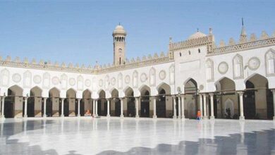 المشرف على رواق الأزهر: القلق من تدريس الدين كمادة أساسية في غير محله.. والأزهر لم يخرج متطرفين
