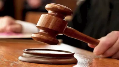 قرار جديد بشأن المتهمة بالتسبب في مصرع ابنها بالهرم